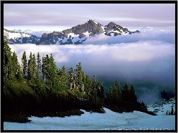 las, Góra, Chmury