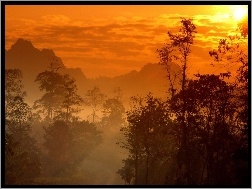 Góra, Drzewo, Tajlandia, Zachód Słońca