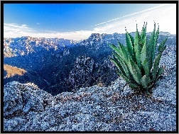 Aloes, Góry, Skały