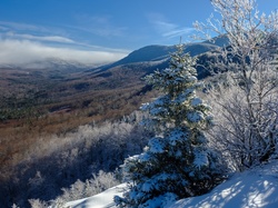 Drzewa, Stan New Hampshire, Góry Appalachy, Góry Białe, Śnieg, Niebo, Zima, Stany Zjednoczone, Wzgórza