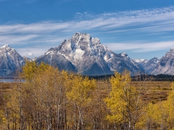 Wyoming, Stany Zjednoczone, Drzewa, Teton Range, Góra, Góry, Jesień, Park Narodowy Grand Teton, Mount Woodring