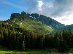 Góry, Przełęcz, Alpy, Szwajcaria, Drzewa, Las, Kanton Berno, Gurnigel Pass