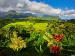 Góry, Drzewa, Roślinność, Morze, Hawaje, Chmury