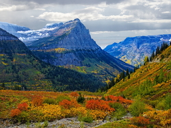 Stany Zjednoczone, Góry Skaliste, Montana, Kolorowe, Jesień, Park Narodowy Glacier, Rośliny