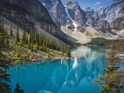 Drzewa, Góry, Park Narodowy Banff, Kanada, Jezioro Moraine