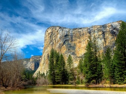 Drzewa, Park Narodowy Yosemite, Stan Kalifornia, Stany Zjednoczone, Góry