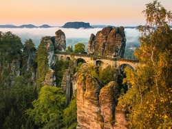Niemcy, Formacja skalna Bastei, Góry Połabskie, Skały, Most kamienny, Park Narodowy Saskiej Szwajcarii, Drzewa