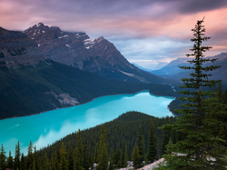 Park Narodowy Banff, Las, Chmury, Góry Canadian Rockies, Kanada, Jezioro Peyto Lake