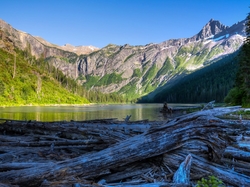 Stan Montana, Góry, Kłody, Park Narodowy Glacier, Stany Zjednoczone, Jezioro Avalanche