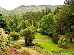 Góry, Ogród Botaniczny, Benmore, Szkocja, Argyll