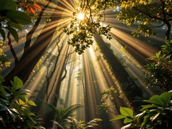 Liście, Las, Drzewa, Grafika AI, Przebijające światło