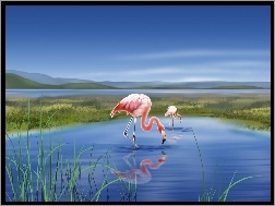 Grafika 2D, Dwa, Jezioro, Flamingi