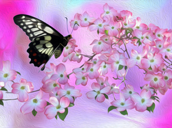 Grafika, Motyle, Kwiaty, Kolorowe tło