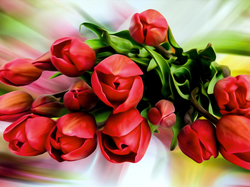 Grafika, Czerwone, Kwiaty, Tulipany
