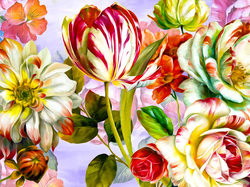 Grafika, Róże, Kolorowe, Kwiaty, Tulipan