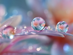 Makro, Krople, Płatki, Grafika AI, Kwiaty