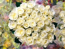 Grafika, Białe, Róże, Kwiaty, Bukiet