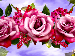 Grafika, Róże, Trzy, Kwiaty, Różowe