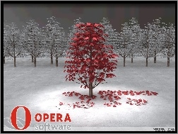 grafika, drzewa, Opera, las