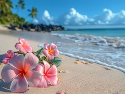 Morze, Plumeria, Kwiaty, Grafika Kwiat, Plaża