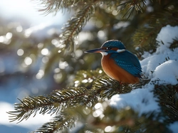 Zima, Zimorodek, Świerk, Grafika AI, Śnieg