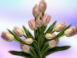 Grafika 2D, Tulipany, Bukiet