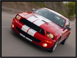 GT500, Ford Mustang, Shelby