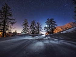 Gwiazdy, Góry, Noc, Zima, Drzewa
