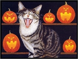 dynie, Halloween, Kot