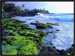 Hawaje, Krajobraz