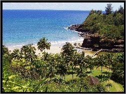 Hawaje, Palmy, Ogród, Morze, Kauai