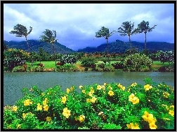 Palmy, Hawaje, Rzeka