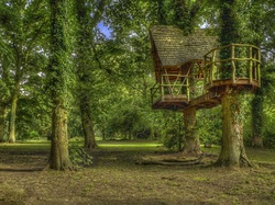 Drzewa, Hrabstwo Northamptonshire, Kelmarsh, Domek, HDR, Kelmarsh Hall and Gardens, Anglia, Park