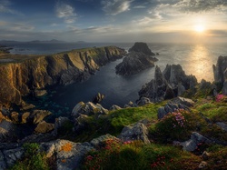 Trawy, Skały, Hrabstwo Donegal, Zachód słońca, Irlandia, Przylądek Malin Head, Morze, Kwiaty
