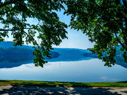 Norwegia, Drzewa, Jezioro Heddalsvatnet