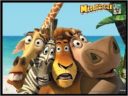 Hipopotan, Zebra, Żyrafa, Madagaskar, Lew