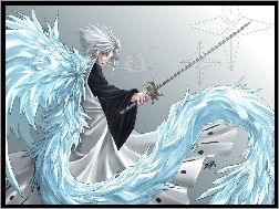 Kapitan, Hitsugaya Toshiro