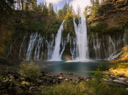Hrabstwo Shasta, Drzewa, Rzeka, Stan Kalifornia, Stany Zjednoczone, Skała, Wodospad Burney Falls, Park McArthur-Burney Falls