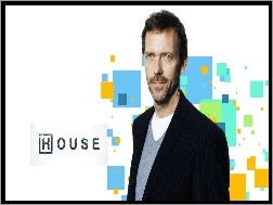 Hugh Laurie, Serial, House, Aktor