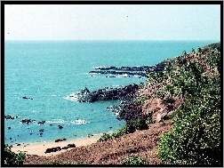 Indie, Roślinność, Morze, Goa