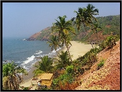 Indie, Palmy, Plaża, Goa