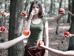 Jabłka, Drzewa, Kobieta, Ręce