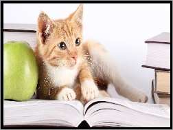 Jabłko, Kot, Książki, Zielone
