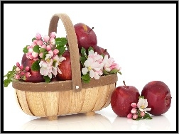 Jabłoni, Jabłek, Kosz, Kwiaty