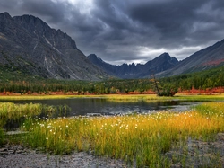 Jack London Lake, Góry, Drzewa, Rosja, Chmury, Trawa, Kołyma, Jezioro