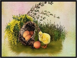 Wielkanoc, Jajka, Kurczaczek