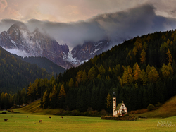 Kościół św. Jana, Dolomity, Włochy, Lasy, Dolina Val di Funes, Góry