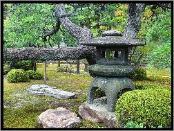 Japonia, Kamienie, Drzewa, Park