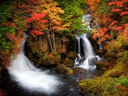 Japonia, Wodospad, Las, Jesień, Ryuzu