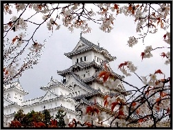 Japońska, Pagoda